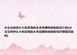 小寶寶快快長(zhǎng)大你是我的未來是哪首歌的歌詞介紹(小寶寶快快長(zhǎng)大你是我的未來是哪首歌的歌詞詳細(xì)情況如何)