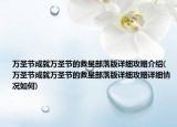 萬圣節(jié)成就萬圣節(jié)的救星部落版詳細攻略介紹(萬圣節(jié)成就萬圣節(jié)的救星部落版詳細攻略詳細情況如何)