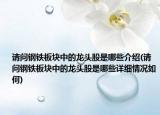 請問鋼鐵板塊中的龍頭股是哪些介紹(請問鋼鐵板塊中的龍頭股是哪些詳細(xì)情況如何)