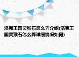 洛克王國靈猴石怎么弄介紹(洛克王國靈猴石怎么弄詳細情況如何)