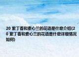 20?紫丁香和素心蘭的花語是什麼介紹(20?紫丁香和素心蘭的花語是什麼詳細情況如何)