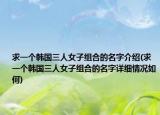 求一個(gè)韓國(guó)三人女子組合的名字介紹(求一個(gè)韓國(guó)三人女子組合的名字詳細(xì)情況如何)