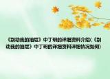《別動我的抽屜》中丁玥的詳細(xì)資料介紹(《別動我的抽屜》中丁玥的詳細(xì)資料詳細(xì)情況如何)