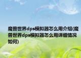 魔獸世界dps模擬器怎么用介紹(魔獸世界dps模擬器怎么用詳細情況如何)