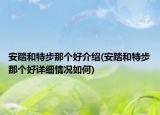 安踏和特步那個好介紹(安踏和特步那個好詳細(xì)情況如何)
