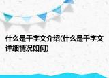 什么是千字文介紹(什么是千字文詳細(xì)情況如何)