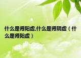 什么是腎陽(yáng)虛,什么是腎陰虛（什么是腎陽(yáng)虛）