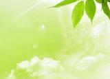 閱讀下面的資料回答問題在學(xué)習(xí)了孟德爾的豌豆雜交實(shí)驗(yàn)之后同學(xué)們對遺傳現(xiàn)象觀察和雜交技術(shù)操作產(chǎn)生了濃厚的興趣于是決定利用小麥進(jìn)行體驗(yàn)活動小麥?zhǔn)敲娣鄣膩碓粗参锶藗兂３＠秒s交選育獲得目標(biāo)品種雜交育種的過程中最主要的步驟是去雄和人工授粉(去雄是將母本小花內(nèi)未成熟的雄蕊全部去掉隨后立即用防水的透明紙袋套好在去雄后1~3天內(nèi)進(jìn)行授粉具體操作為選取已經(jīng)成熟的花藥作為父本放入到去雄母本的每朵小花內(nèi)全部授粉完成后重新套袋10天后將紙袋去掉再過10~15天可以看到小麥已經(jīng)結(jié)實(shí)要想完成去雄和授粉這兩個(gè)過程必須了解小麥花的結(jié)構(gòu)如