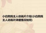 小白狗找主人動畫片介紹(小白狗找主人動畫片詳細(xì)情況如何)