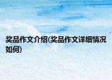 獎(jiǎng)品作文介紹(獎(jiǎng)品作文詳細(xì)情況如何)