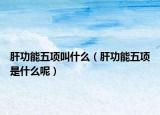 肝功能五項(xiàng)叫什么（肝功能五項(xiàng)是什么呢）