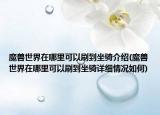 魔獸世界在哪里可以刷到坐騎介紹(魔獸世界在哪里可以刷到坐騎詳細(xì)情況如何)