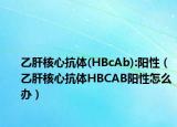 乙肝核心抗體(HBcAb):陽性（乙肝核心抗體HBCAB陽性怎么辦）