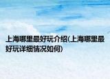 上海哪里最好玩介紹(上海哪里最好玩詳細(xì)情況如何)