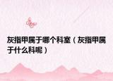 灰指甲屬于哪個科室（灰指甲屬于什么科呢）