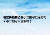 母嬰傳播的乙肝小三陽可以治愈嗎（小三陽可以治愈嗎）
