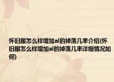 懷舊服怎么樣增加al的掉落幾率介紹(懷舊服怎么樣增加al的掉落幾率詳細(xì)情況如何)