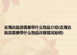 去海邊旅游需要帶什么物品介紹(去海邊旅游需要帶什么物品詳細(xì)情況如何)