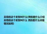 吳尊的這個(gè)發(fā)型叫什么(燙的是什么介紹 吳尊的這個(gè)發(fā)型叫什么 燙的是什么詳細(xì)情況如何)