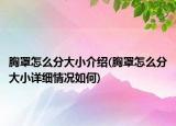 胸罩怎么分大小介紹(胸罩怎么分大小詳細(xì)情況如何)