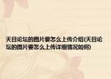 天目論壇的圖片要怎么上傳介紹(天目論壇的圖片要怎么上傳詳細(xì)情況如何)