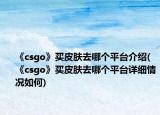 《csgo》買皮膚去哪個(gè)平臺(tái)介紹(《csgo》買皮膚去哪個(gè)平臺(tái)詳細(xì)情況如何)
