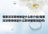 情意深深意綿綿是什么歌介紹(情意深深意綿綿是什么歌詳細情況如何)