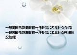 一部美國(guó)電影里面有一只老鼠片名是什么介紹(一部美國(guó)電影里面有一只老鼠片名是什么詳細(xì)情況如何)