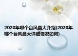 2020年哪個臺風(fēng)最大介紹(2020年哪個臺風(fēng)最大詳細情況如何)