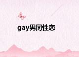 gay男同性戀