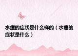 水痘的癥狀是什么樣的（水痘的癥狀是什么）
