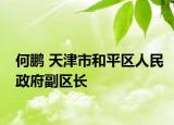 何鵬 天津市和平區(qū)人民政府副區(qū)長(zhǎng)