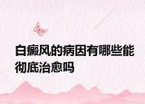 白癜風的病因有哪些能徹底治愈嗎