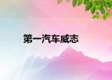 第一汽車威志