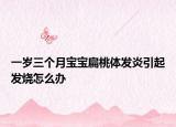 一歲三個月寶寶扁桃體發(fā)炎引起發(fā)燒怎么辦