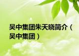 吳中集團(tuán)朱天曉簡介（吳中集團(tuán)）
