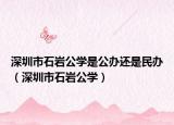 深圳市石巖公學(xué)是公辦還是民辦（深圳市石巖公學(xué)）