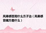 風(fēng)寒感冒用什么方子治（風(fēng)寒感冒偏方是什么）