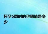 懷孕5周時(shí)的孕酮值是多少
