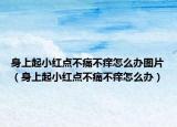 身上起小紅點(diǎn)不痛不癢怎么辦圖片（身上起小紅點(diǎn)不痛不癢怎么辦）
