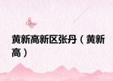 黃新高新區(qū)張丹（黃新高）