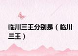 臨川三王分別是（臨川三王）
