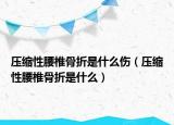 壓縮性腰椎骨折是什么傷（壓縮性腰椎骨折是什么）