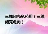 三線閉殼龜藥用（三線閉殼龜肉）
