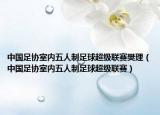 中國足協(xié)室內(nèi)五人制足球超級聯(lián)賽樊理（中國足協(xié)室內(nèi)五人制足球超級聯(lián)賽）