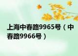 上海中春路9965號(hào)（中春路9966號(hào)）