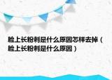 臉上長(zhǎng)粉刺是什么原因怎樣去掉（臉上長(zhǎng)粉刺是什么原因）