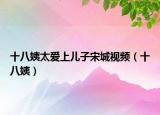 十八姨太愛上兒子宋城視頻（十八姨）