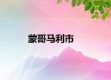 蒙哥馬利市