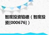 智度投資鉑德（智度投資[000676]）